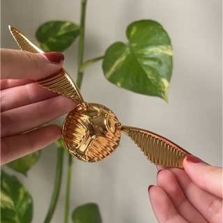Set Anillo Golden Snitch