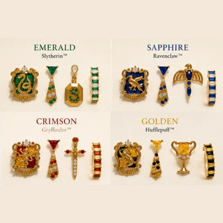 The House Earring Set, product view