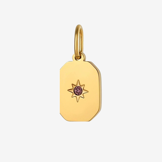 February Amethyst rectangle birthstone pendant on f5 background