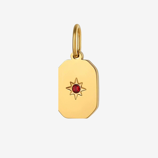 January Garnet rectangle birthstone pendant on f5 background