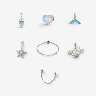 The Ocean Set with Storykeeper Charm Bracelet, Guardian Safety Chain and five ocean charms